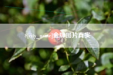 蚌埠金牌图片真实