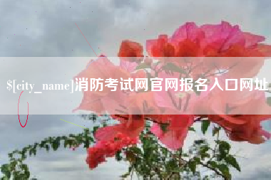 蚌埠消防考试网官网报名入口网址