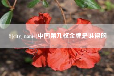 蚌埠中国第九枚金牌是谁得的