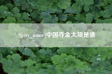 蚌埠中国夺金大项是谁