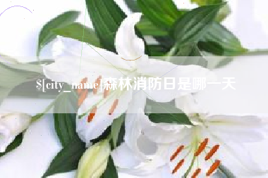 蚌埠森林消防日是哪一天