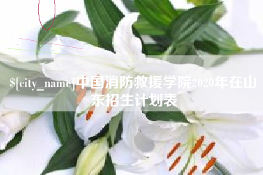蚌埠中国消防救援学院2020年在山东招生计划表