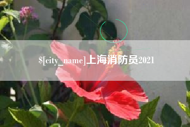 蚌埠上海消防员2021