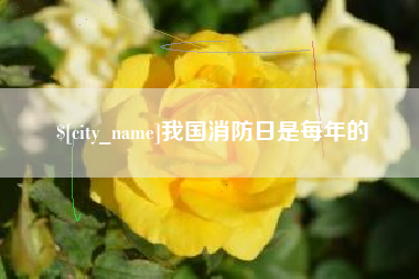 蚌埠我国消防日是每年的