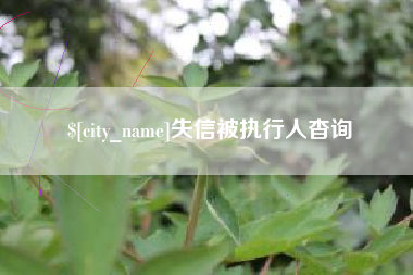 蚌埠失信被执行人杳询