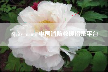 蚌埠中国消防救援招录平台