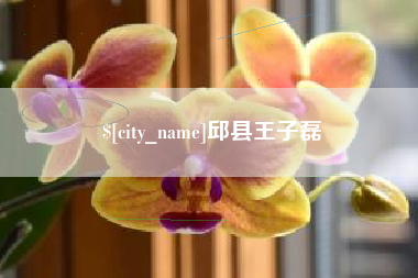 蚌埠邱县王子磊
