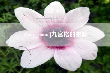 蚌埠九宫格的来源