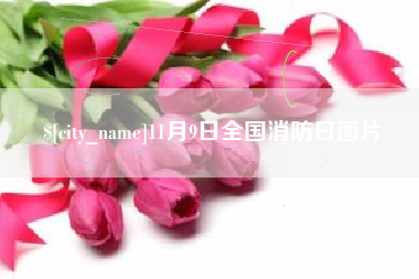 蚌埠11月9日全国消防日图片