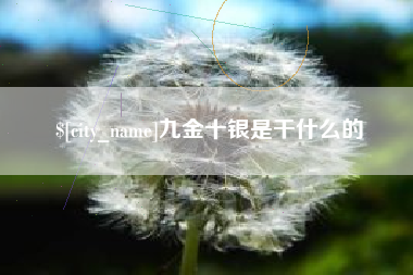蚌埠九金十银是干什么的