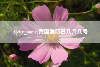 蚌埠我国消防日几月几号