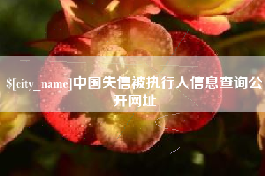 蚌埠中国失信被执行人信息查询公开网址