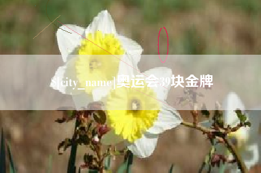 蚌埠奥运会39块金牌