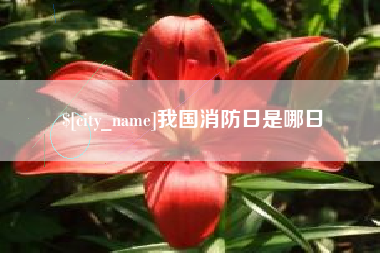 蚌埠我国消防日是哪日
