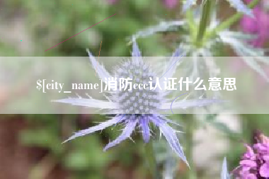 蚌埠消防ccc认证什么意思