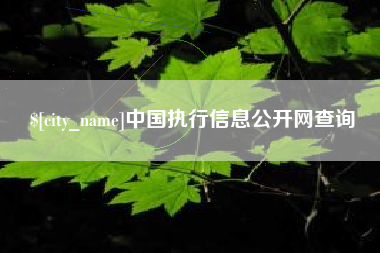 蚌埠中国执行信息公开网查询