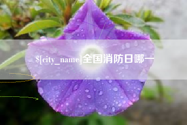 蚌埠全国消防日哪一