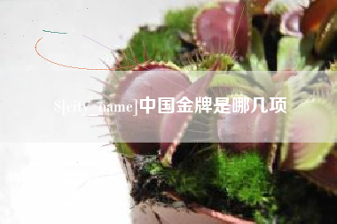蚌埠中国金牌是哪几项