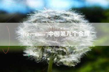 蚌埠中国第九个金牌