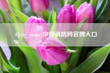 蚌埠中国消防网官网入口