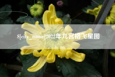 蚌埠2022年九宫格飞星图
