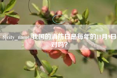 蚌埠我国的消防日是每年的11月9日对吗？