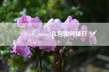 蚌埠九宫如何排日