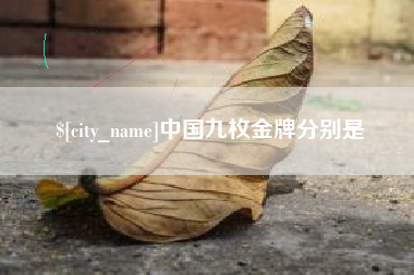 蚌埠中国九枚金牌分别是