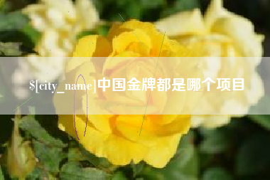 蚌埠中国金牌都是哪个项目