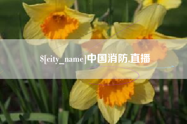 蚌埠中国消防,直播