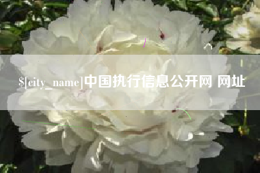 蚌埠中国执行信息公开网 网址
