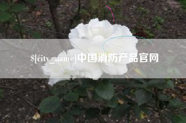蚌埠中国消防产品官网