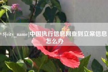 蚌埠中国执行信息网查到立案信息怎么办