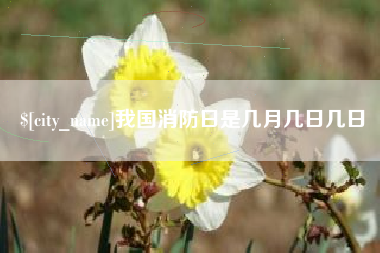 蚌埠我国消防日是几月几日几日