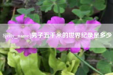 蚌埠男子五千米的世界纪录是多少