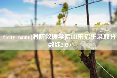 蚌埠消防救援学院山东招生录取分数线2020