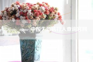 蚌埠中国失信执行人查询官网