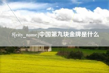 蚌埠中国第九块金牌是什么