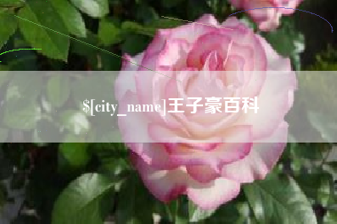 蚌埠王子豪百科