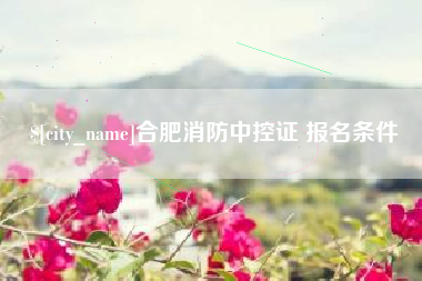 蚌埠合肥消防中控证 报名条件