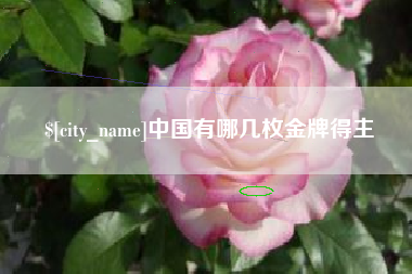 蚌埠中国有哪几枚金牌得主