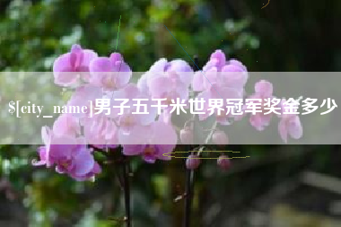 蚌埠男子五千米世界冠军奖金多少