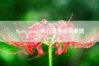 蚌埠执行公告查询系统
