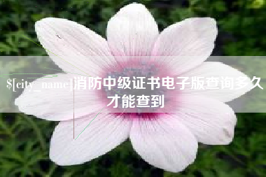 蚌埠消防中级证书电子版查询多久才能查到