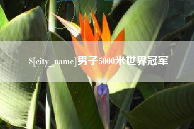 蚌埠男子5000米世界冠军