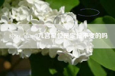 蚌埠九宫星位是定位不变的吗