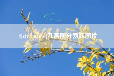 蚌埠九宫图分割线图片
