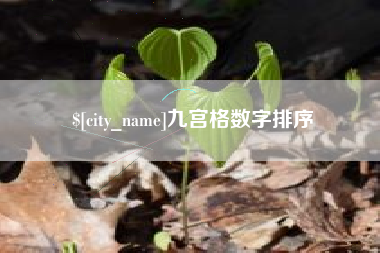 蚌埠九宫格数字排序