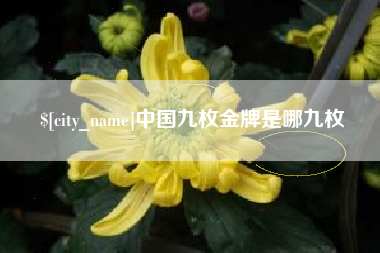 蚌埠中国九枚金牌是哪九枚