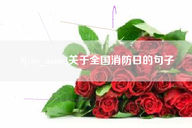 蚌埠关于全国消防日的句子